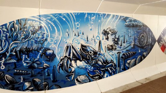Murals In The Te Atatu Cycle Underpass