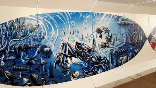 Murals In The Te Atatu Cycle Underpass photo