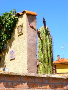 Murillo de Río Leza 17