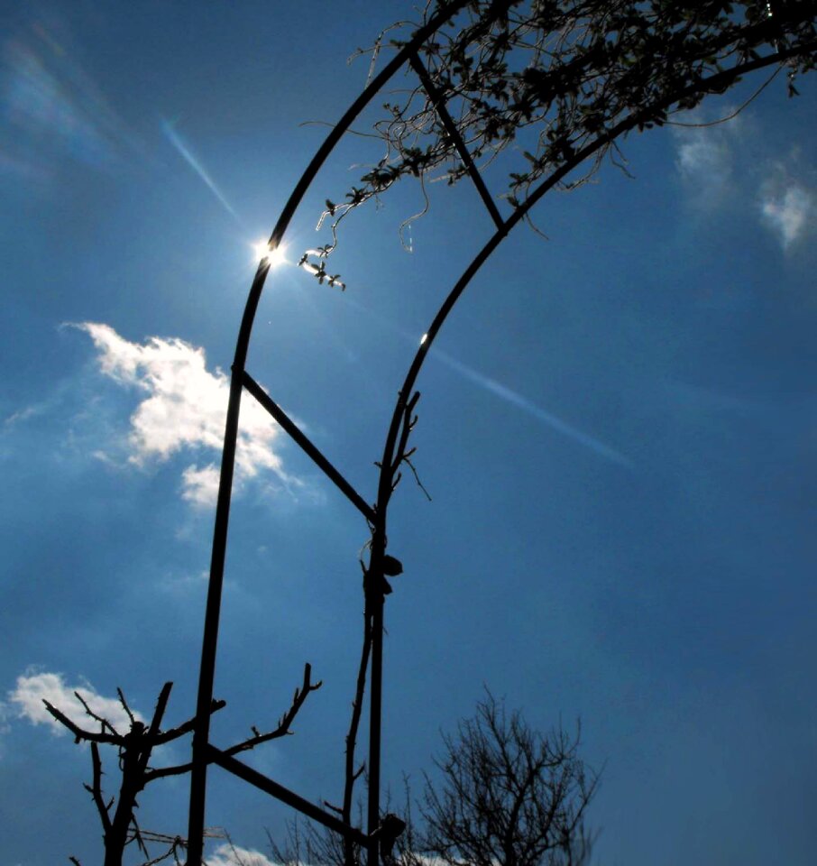 Sun creepers the sky
