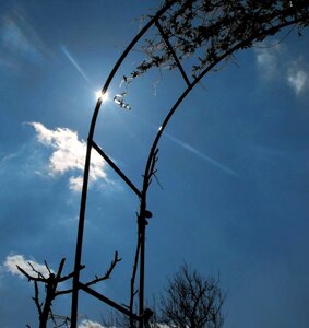 Sun creepers the sky