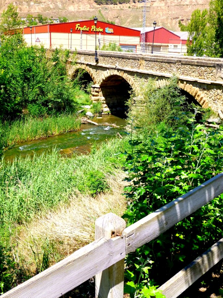 Murillo de Río Leza - Río Leza 3