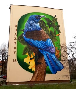 Mural Prosthemadera novaeseelandiae Bielsko-Biala 02