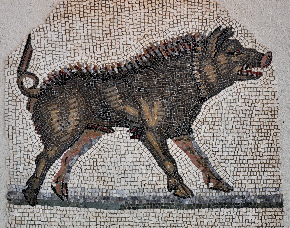 Musée GR de Saint-Romain-en-Gal 27 07 2011 22 Orphée