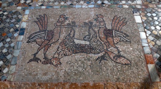 Murano Santa Maria e Donato 27022015 14