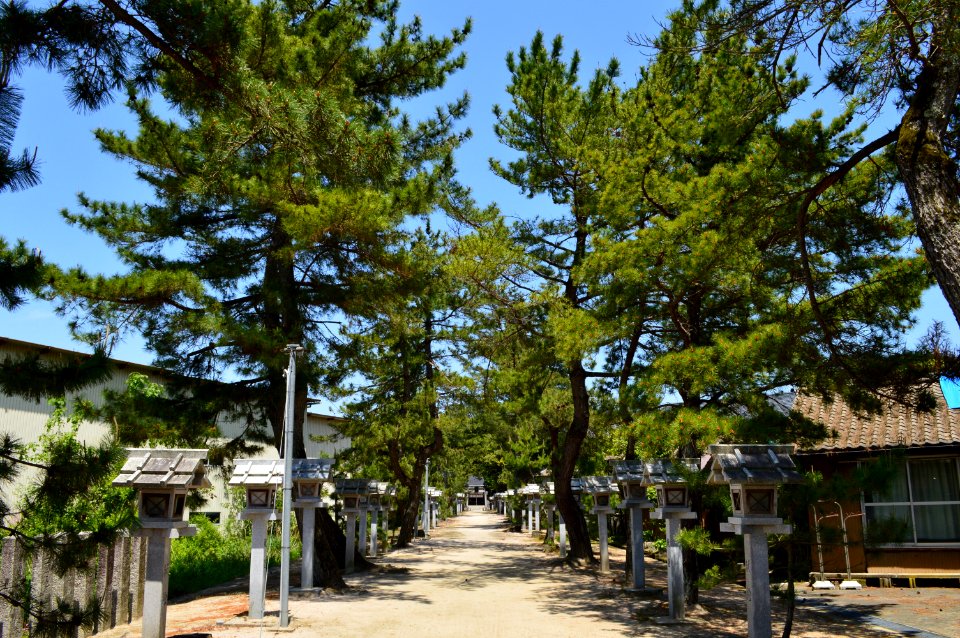 Omiyame-jinja, sandou