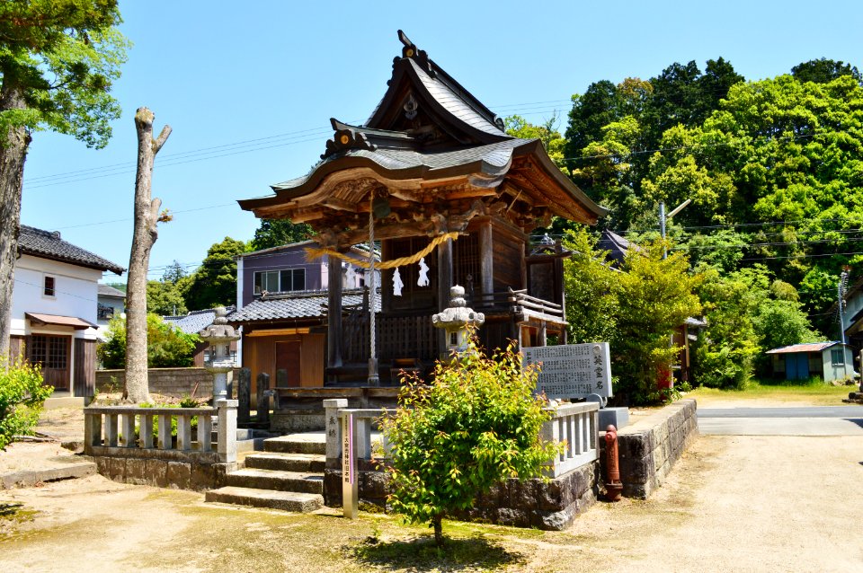 Omiyame-jinja, old honden