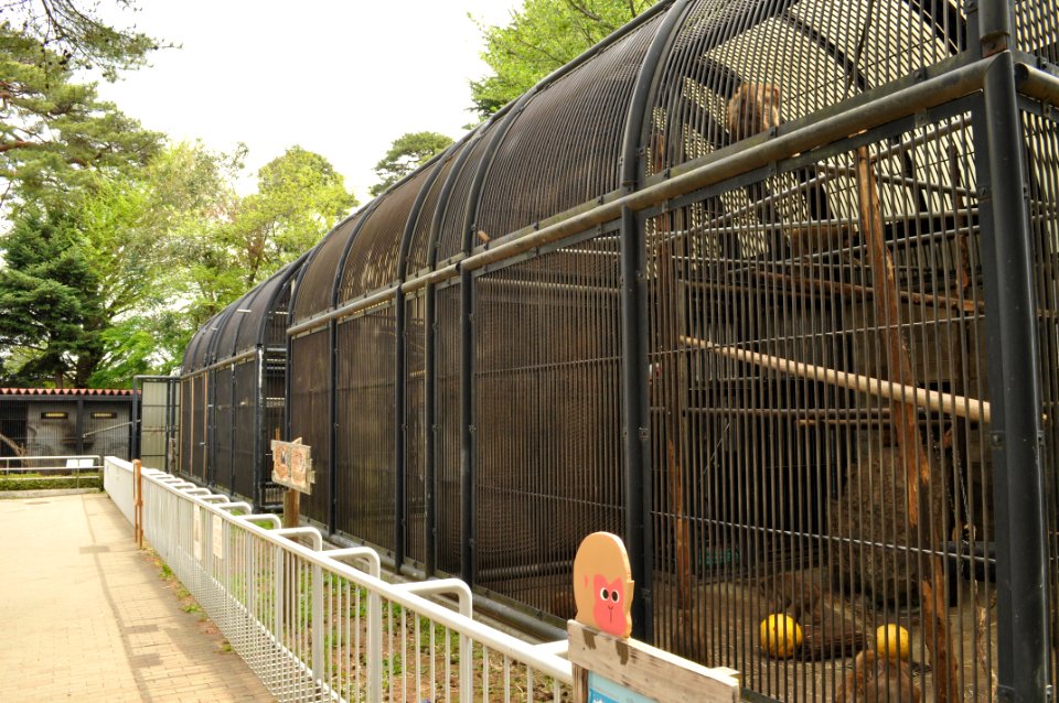 Omiya park zoo 004