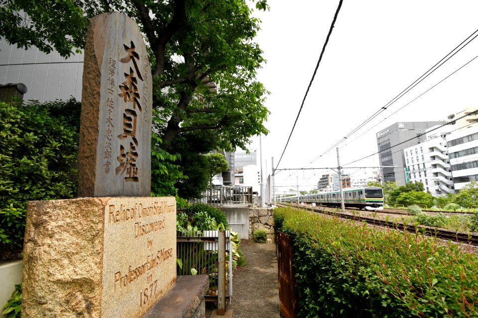 Omori Shell Mound, sekihi-3