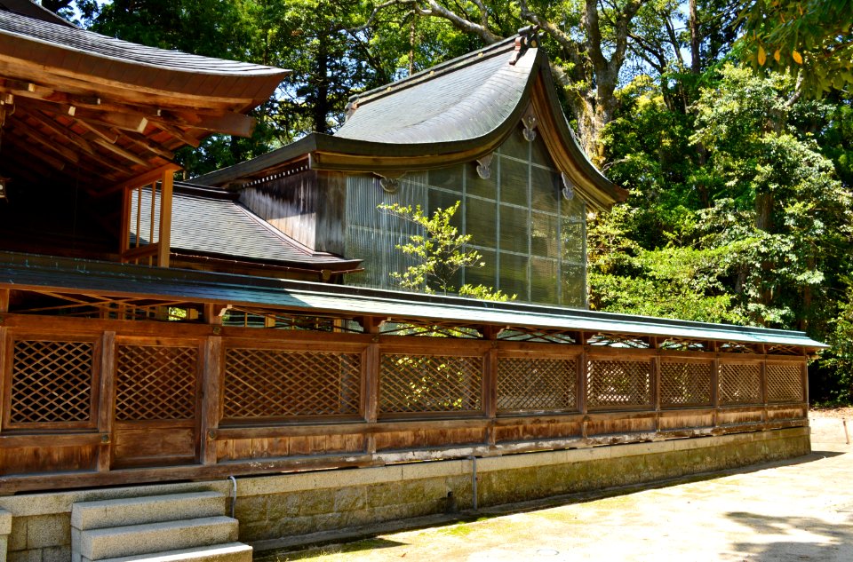 Omiyame-jinja, honden