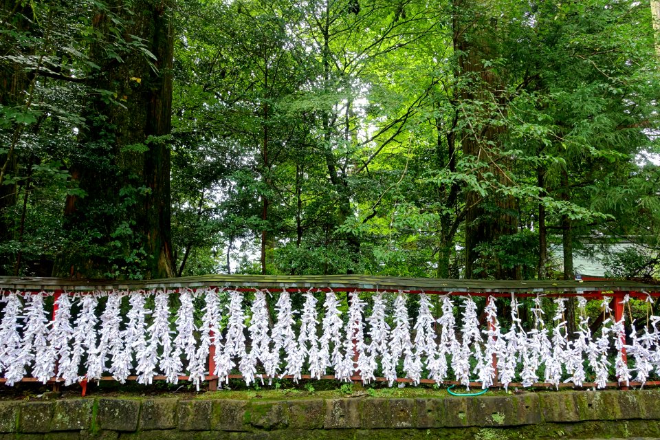 Omikuji - Hakone-jinja - Hakone, Japan - DSC05833