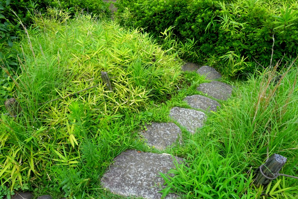 Omori Shell Mounds Garden - Omori, Tokyo, Japan - DSC05662