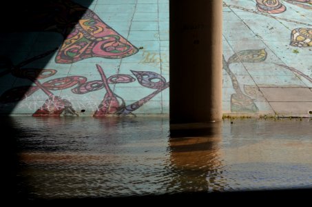 Omni Downtown Miami tidal flooding October 17 2016 morning high tide 05