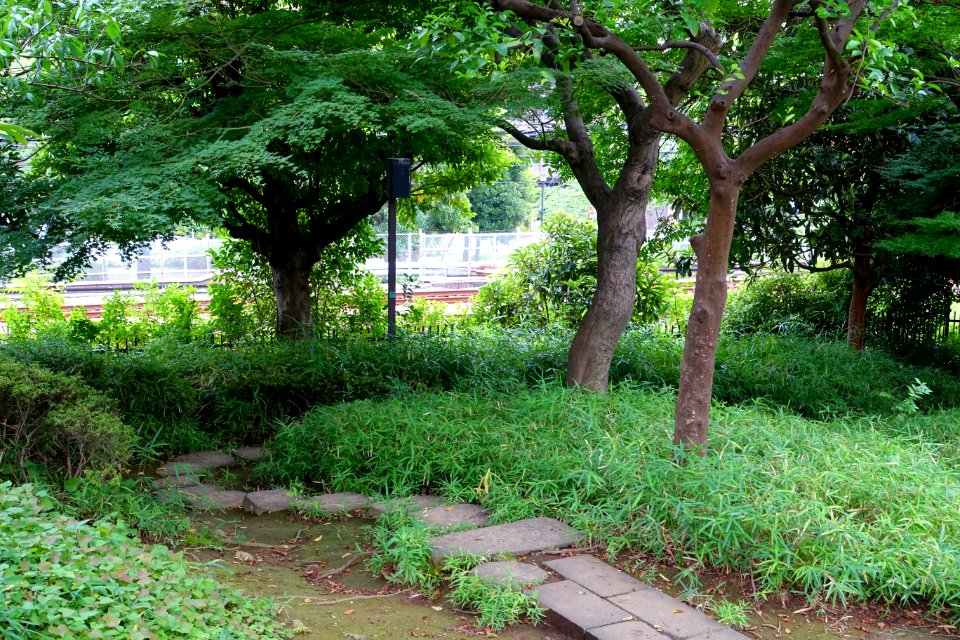 Omori Shell Mounds Garden - Omori, Tokyo, Japan - DSC05672