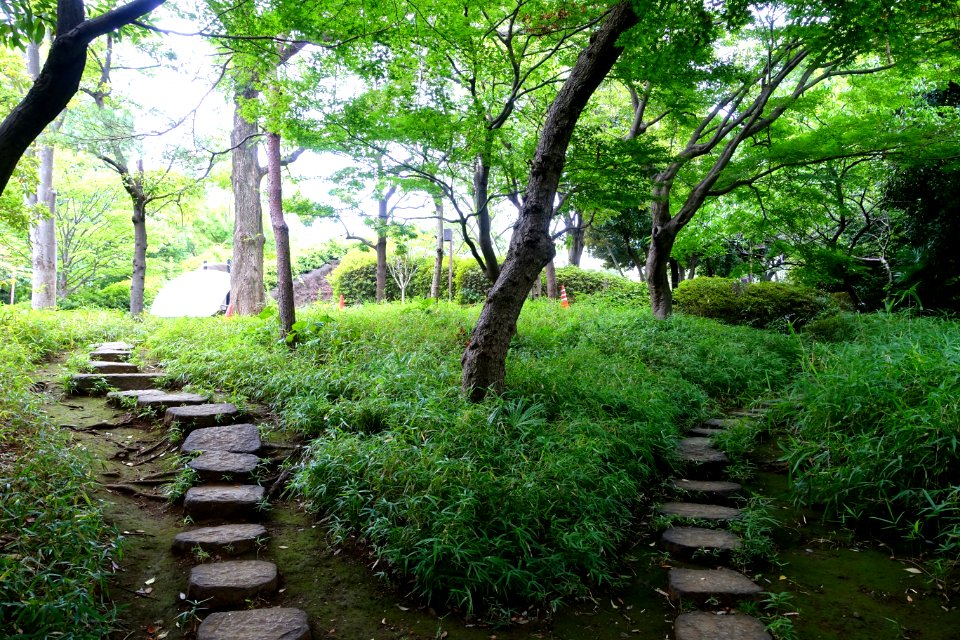 Omori Shell Mounds Garden - Omori, Tokyo, Japan - DSC05678