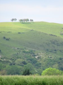 On The Street between Poynings and Fulking 02
