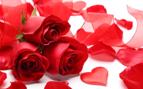 Symbol romance valentine