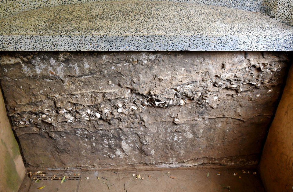 Omori Shell Mound, danmen