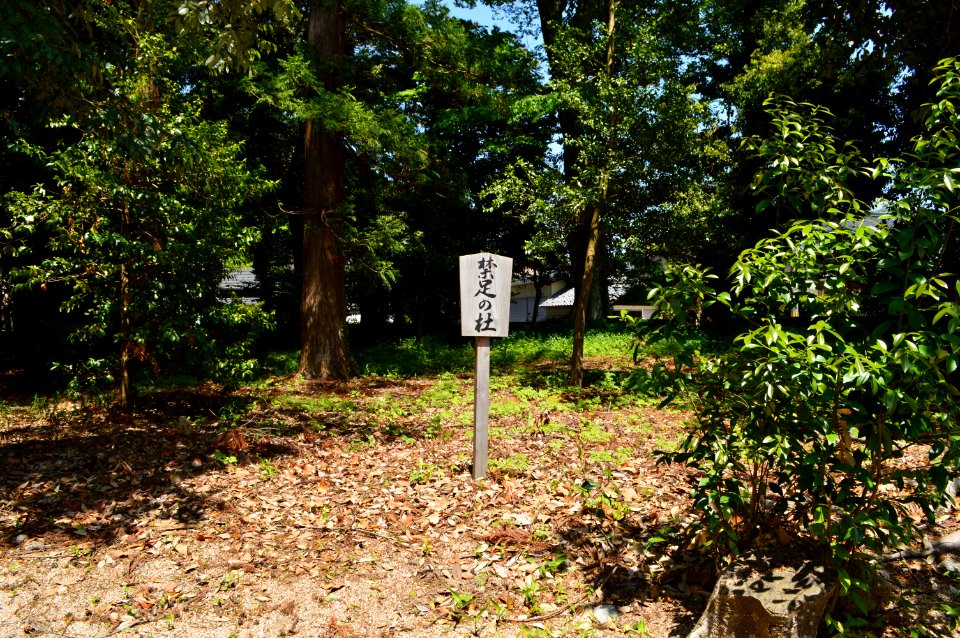 Omiyame-jinja, kinsoku-no-mori