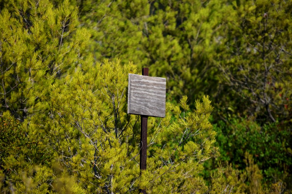 Old Rules (233075543)