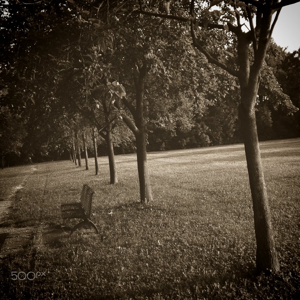 Oltre La Soglia (184571015)
