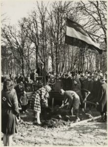 Onder het motto Nieuw leven in den hout werden bomen geplat in de Haarlemmerhout. NL-HlmNHA 54005282