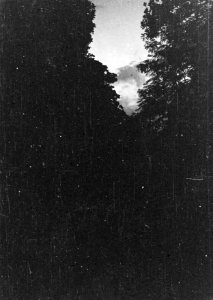 Onduidelijke opname Landschap, Bestanddeelnr 5086