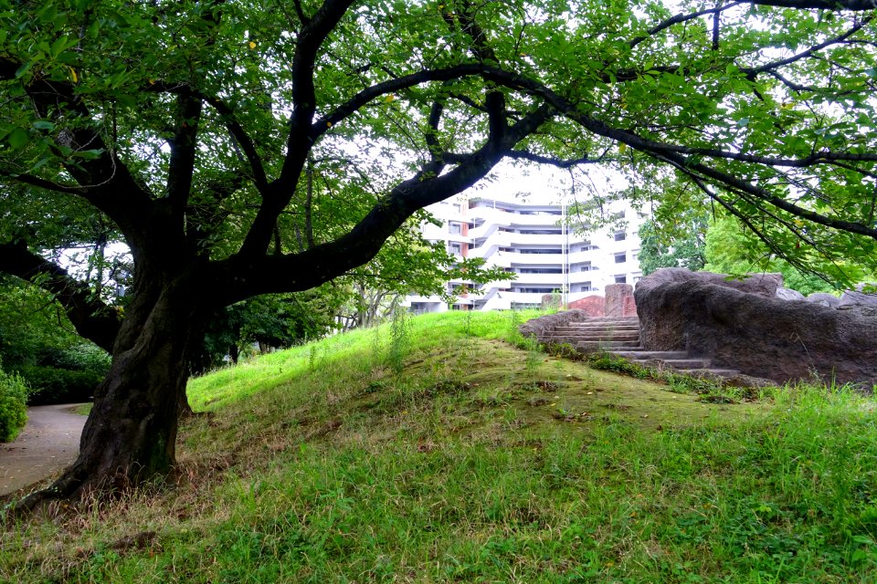 Omori Shell Mounds Garden - Omori, Tokyo, Japan - DSC05690
