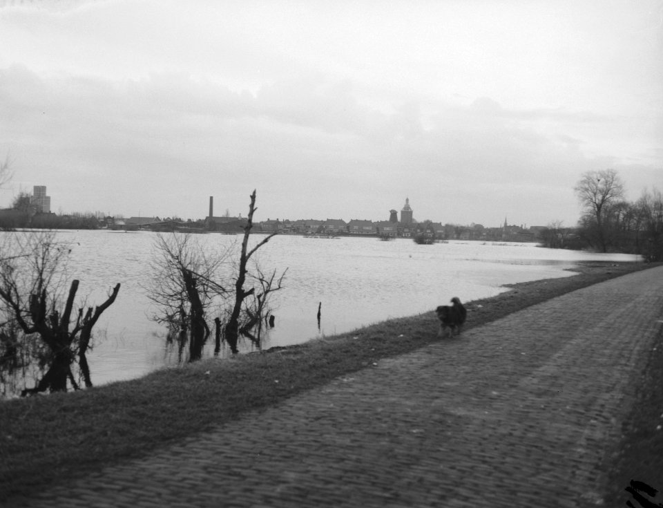 Ondergelopen land nabij Meppel, Bestanddeelnr 910-1111