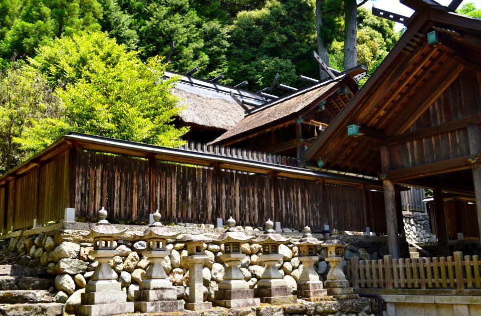 Onamochi-jinja, honden