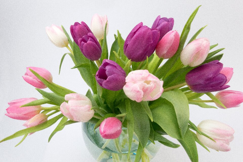 Bouquet schnittblume flower