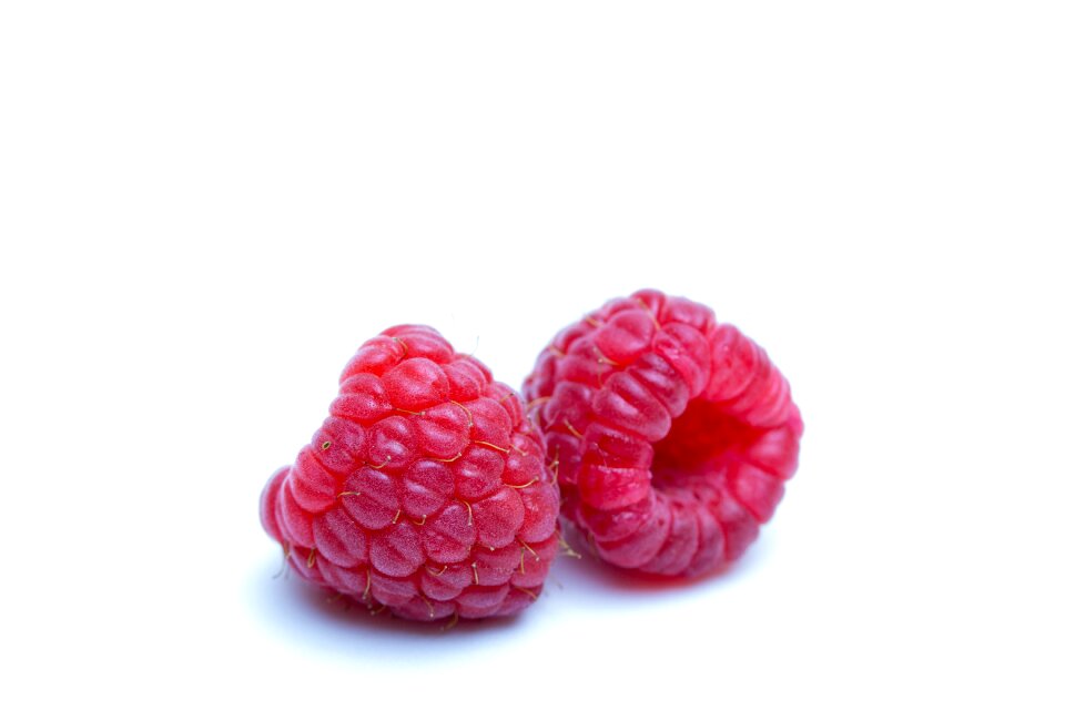Shrub forest fruit polidrupa