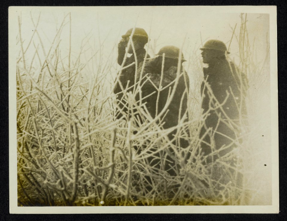 On the Cambrai front. British officers observing from amongst front-clad shrubs, Bestanddeelnr 158-1163