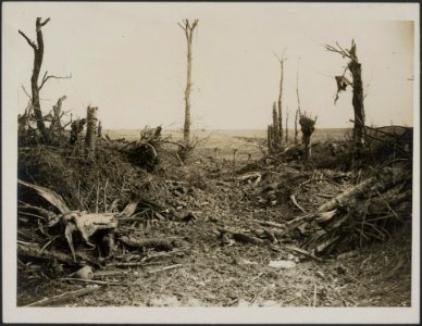 One of the roads of Flers, Bestanddeelnr 158-2925