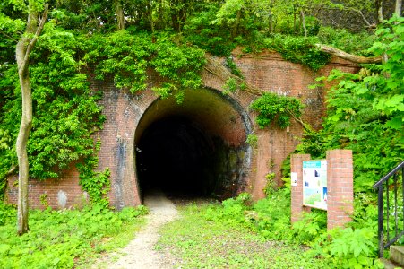 Old Oyashirazu Tunnel, entrance