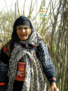 Old woman in Canebrake in Nishapur 2