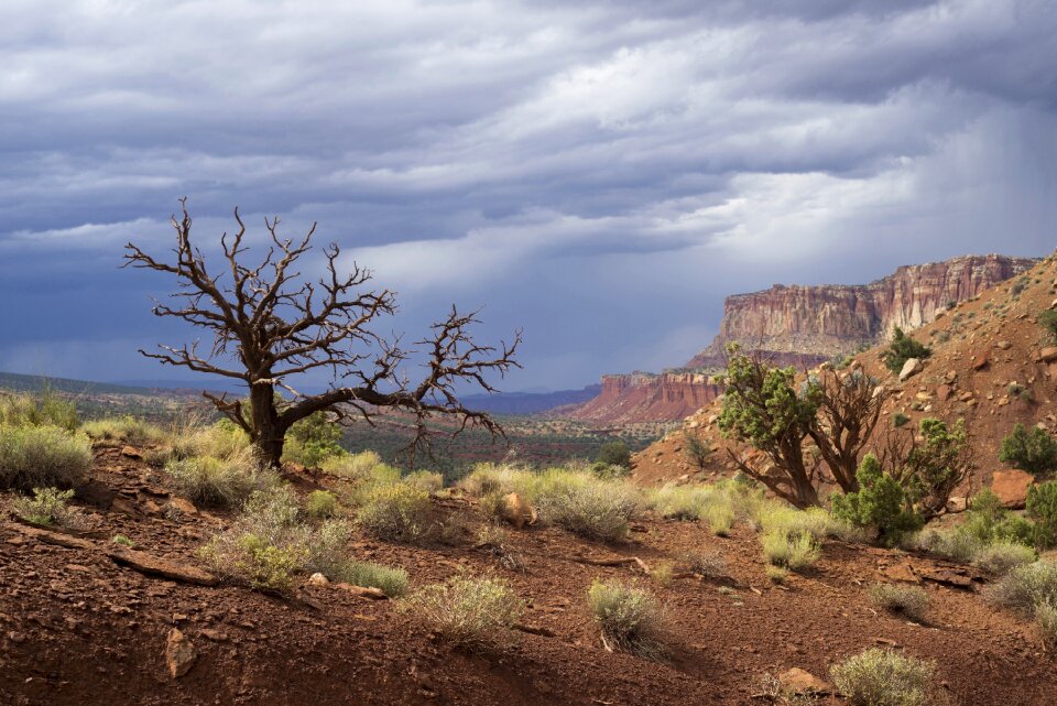 Capitol reef national park utah usa