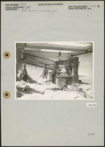 Onbeveiligde karrewals, Bestanddeelnr 256-4519