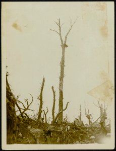 Once a boche O.P. in a tree., Bestanddeelnr 158-0042