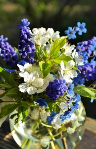 Bouquet colorful bouquets