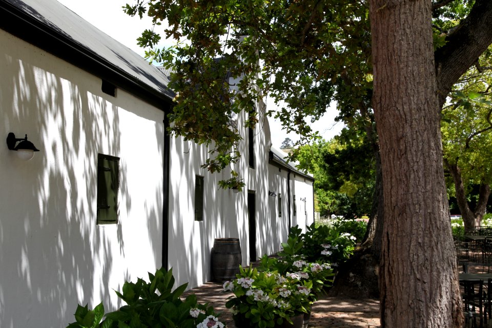 Old Wine Cellar at Spier