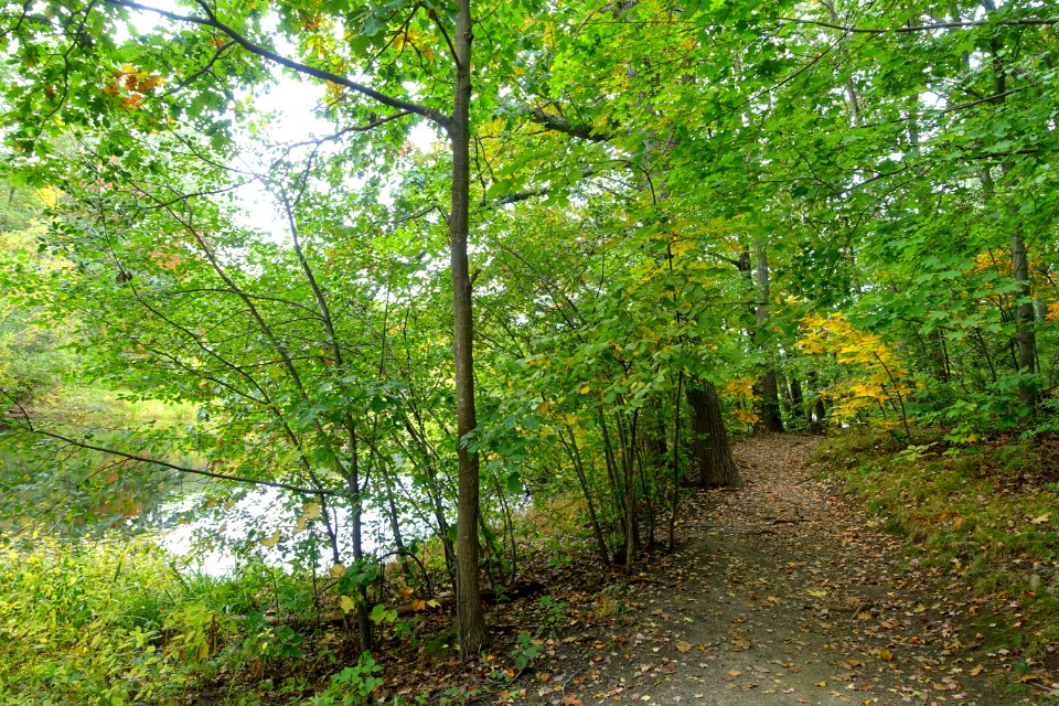 Old Reservoir - Lexington, Massachusetts - DSC06579