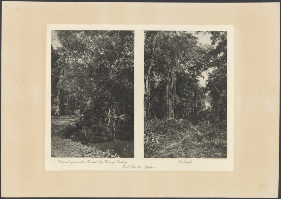 Onderneming Loeboe Dalam. Links Kanaal bij Karan Gading. Rechts Oerbosch, Bestanddeelnr 853 59