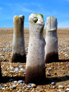 Pett Level Beach, sea defences 7