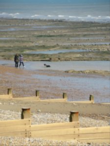 Pett Level beach, March 2021