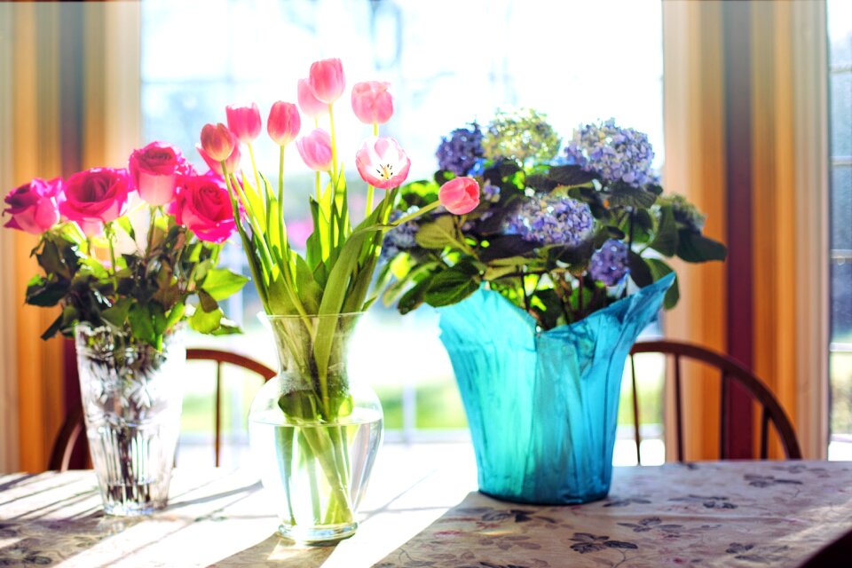 Bouquet of flowers flowers bouquets blossoms
