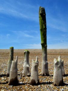 Pett Level Beach, sea defences 5
