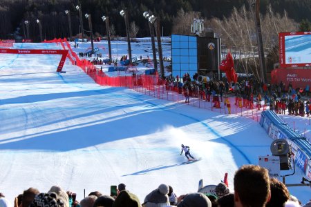 Peter Fill - Pista Stelvio - Bormio 28.12.2019 - 08
