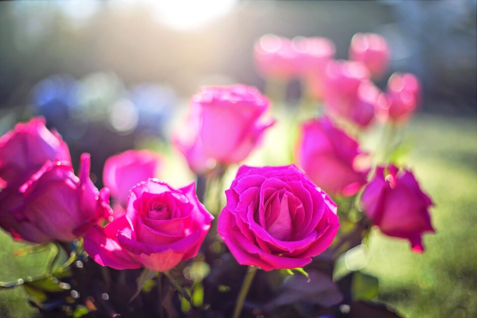 Romantic valentine bouquet