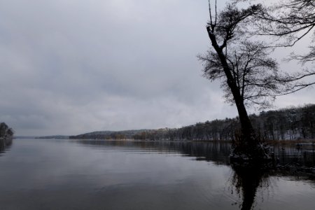 Pfaueninsel and Wannsee from Düppeler Forst with snow 2021-01-30 12